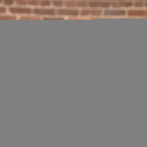 Fundraising Page: Maymuna Sabree